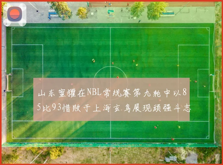 山东蜜獾在NBL常规赛第九轮中以85比93惜败于上海玄鸟展现顽强斗志