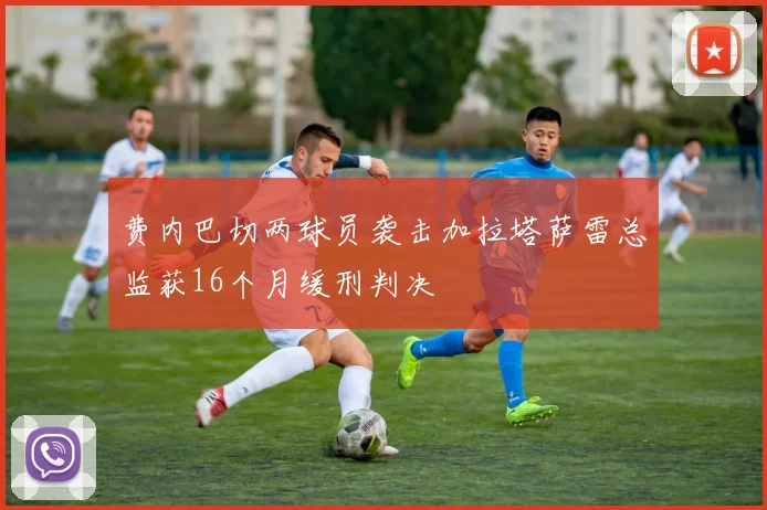 费内巴切两球员袭击加拉塔萨雷总监获16个月缓刑判决