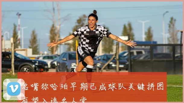 名嘴称哈珀早期已成球队关键拼图有望入选名人堂