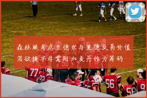 森林狼考虑兰德尔与里德交易价值若欲换字母需附加麦丹作为筹码