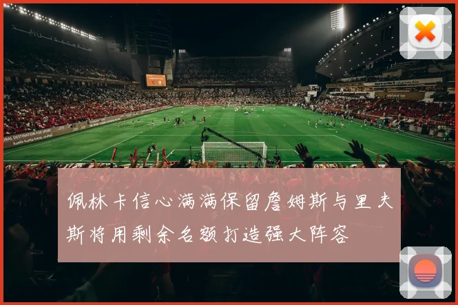 佩林卡信心满满保留詹姆斯与里夫斯将用剩余名额打造强大阵容